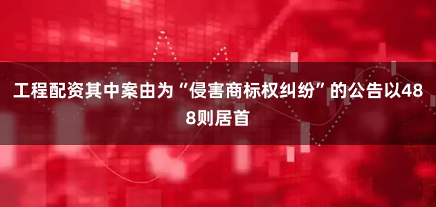 工程配资其中案由为“侵害商标权纠纷”的公告以488则居首