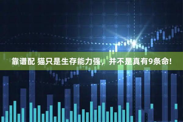 靠谱配 猫只是生存能力强，并不是真有9条命!